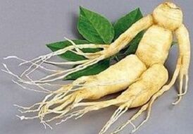 Raíz de ginseng para hacer infusión
